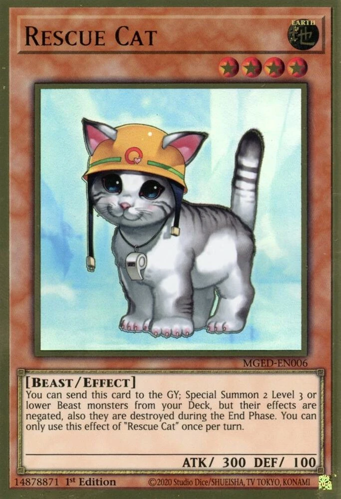 Rescue Cat