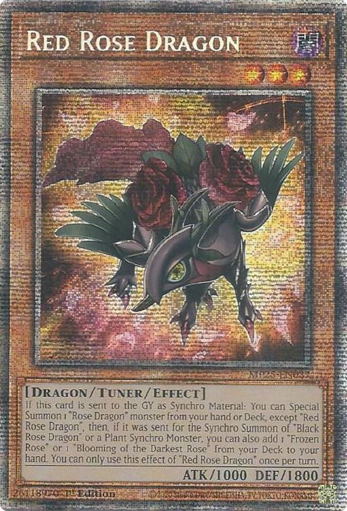 Red Rose Dragon