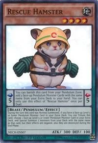 Rescue Hamster