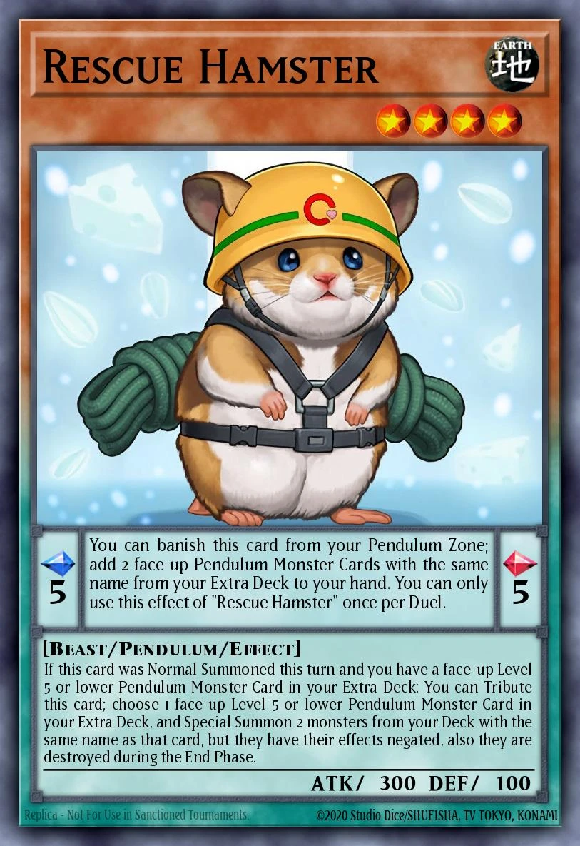 Rescue Hamster