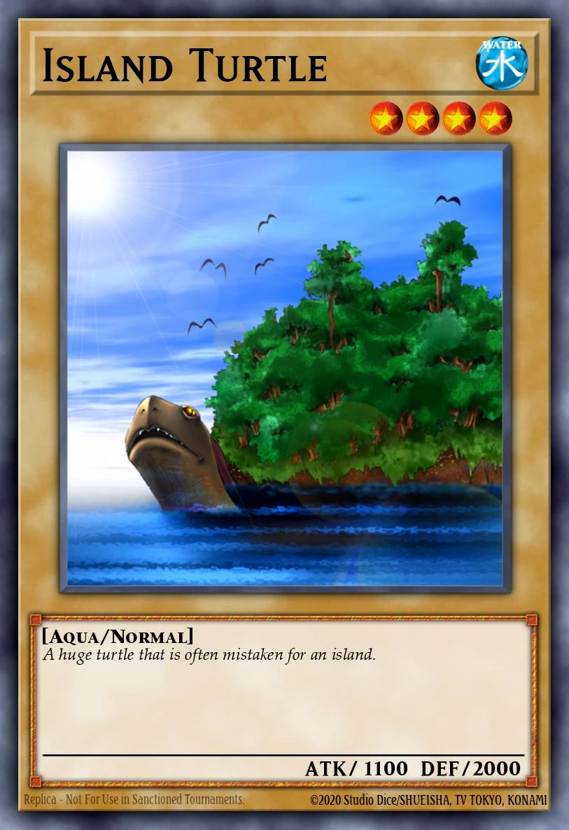 Island Turtle