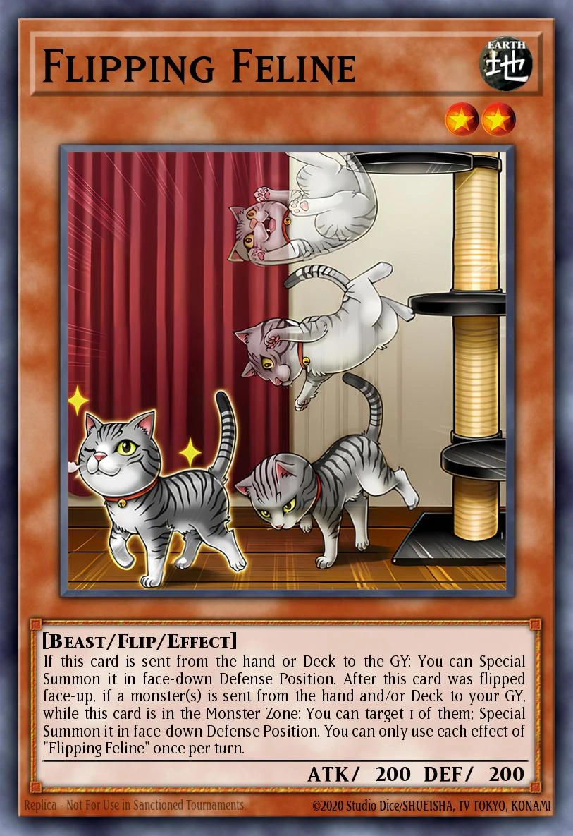 Flipping Feline
