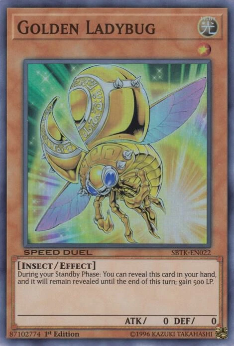 Golden Ladybug