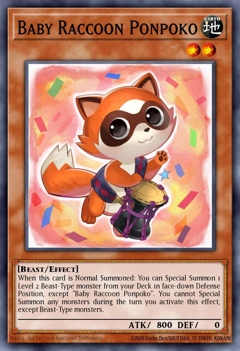 Baby Raccoon Ponpoko