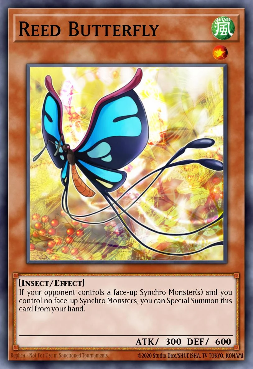 Reed Butterfly