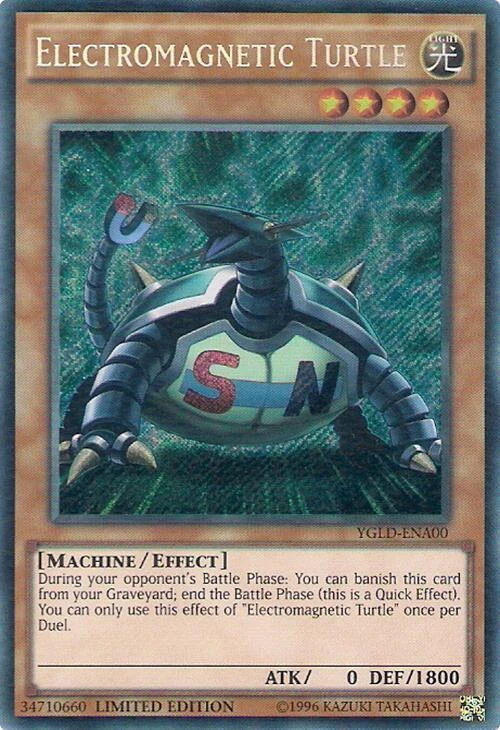 Electromagnetic Turtle