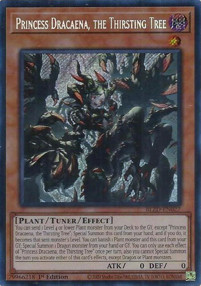 Princess Dracaena, the Thirsting Tree