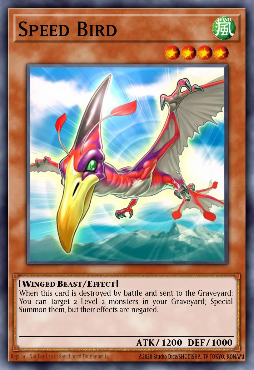 Speed Bird